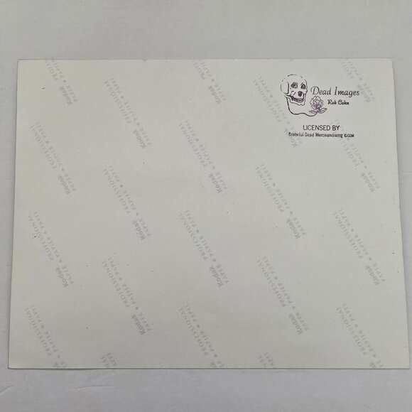 Phil Lesh Licensed Photo Print By Dead Images Rob Cohn Of Grateful Dead Musician - Picture 6 of 16